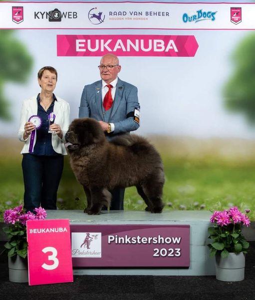 GopgaTuol5FwC4dgvRZV6nCR9accshVPjkOMc1nh.jpg